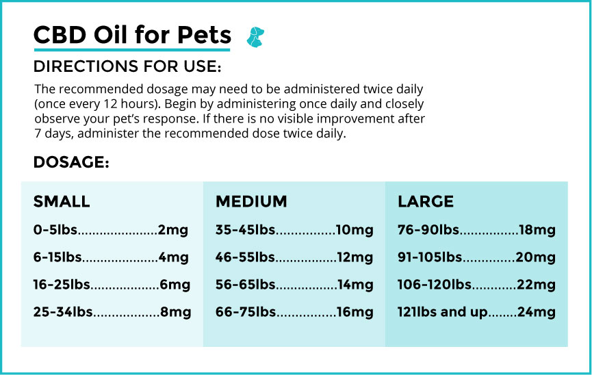 CBD oil for dogs dosage infographic